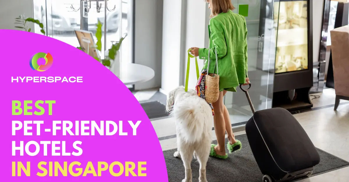 10 Best PetFriendly Hotels in Singapore [2024] Hyperspace Singapore